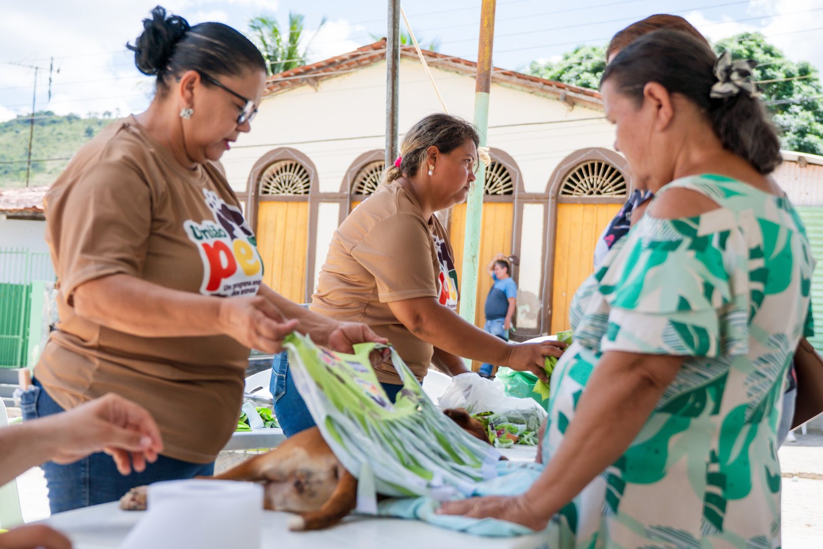 Programa União PET realiza castração de 48 animais nesta terça-feira (22)
